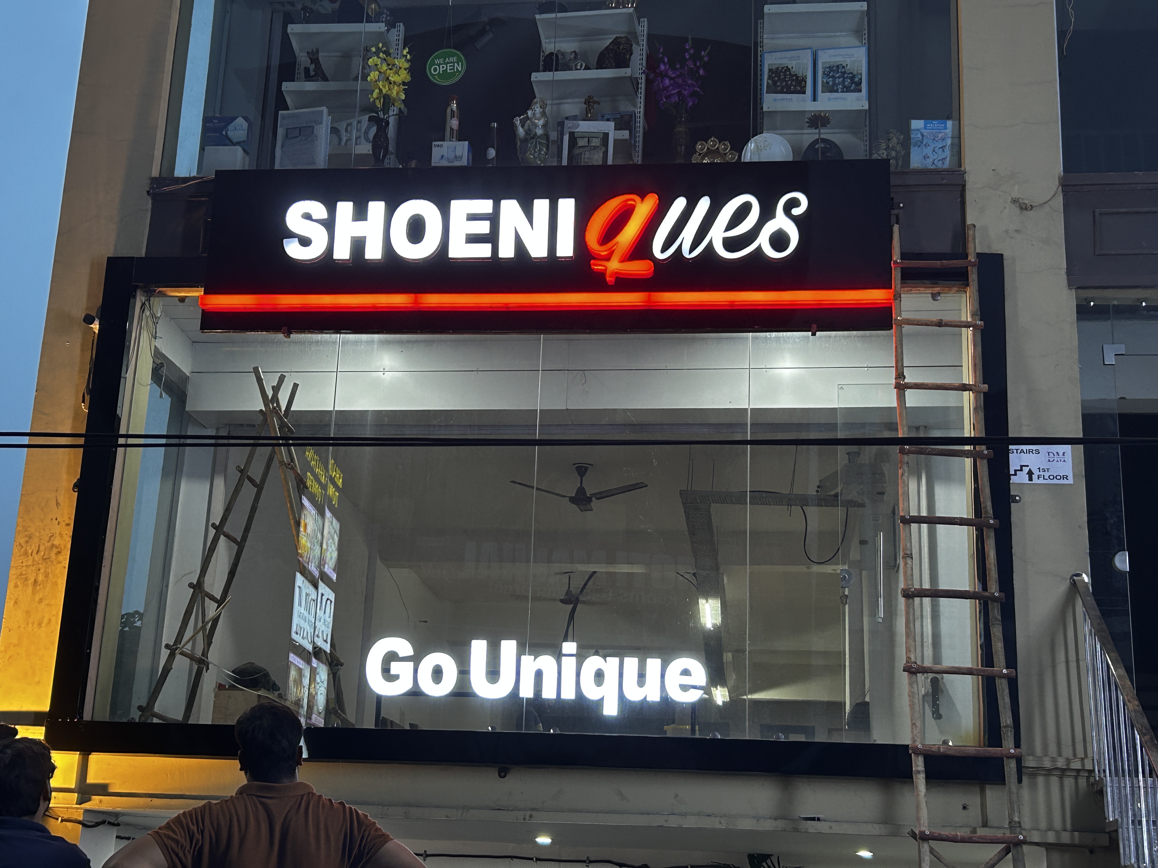 Shoeniques
